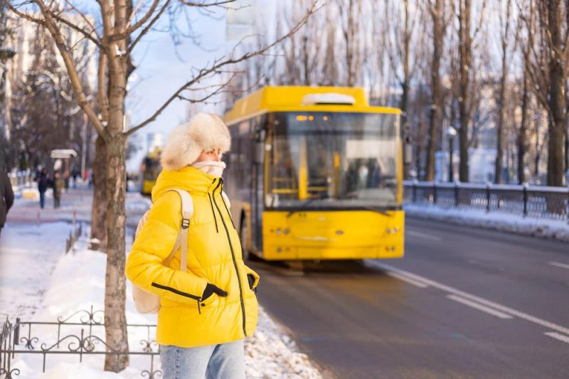 Аренда транспорта зимой: что нужно знать о перевозках в это время года